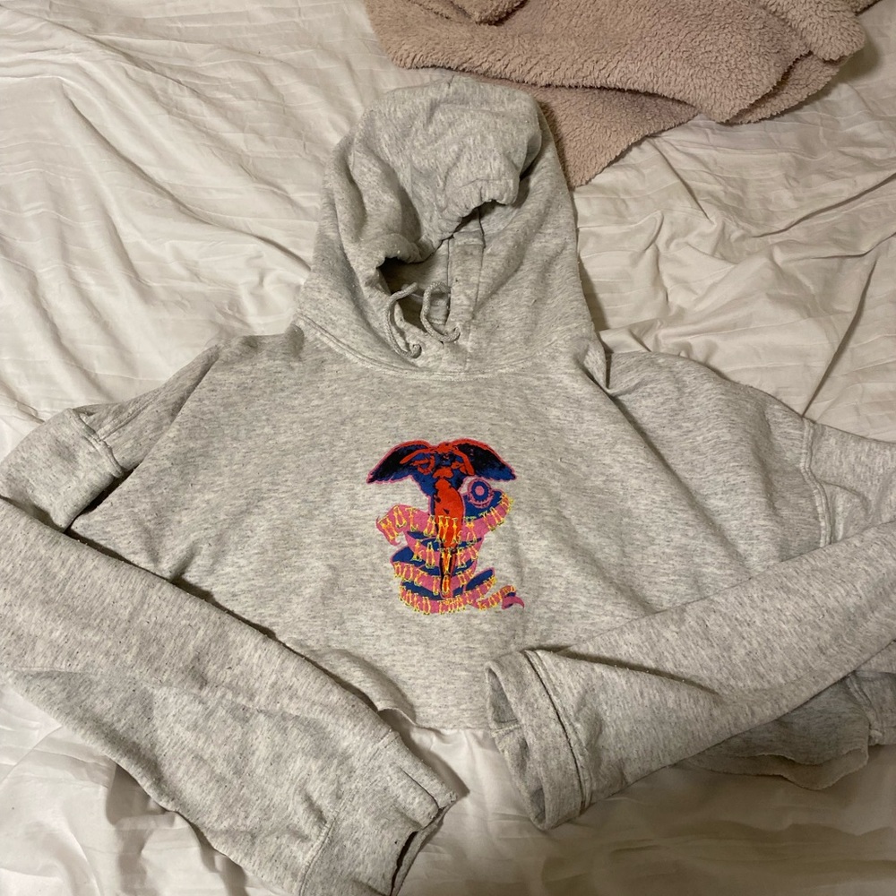 Boys lie cropped sweatshirt